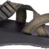 'Chaco' Men's Z1 Classic Sandal - Bluff Hunter