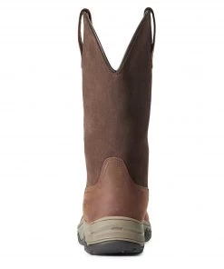 'Ariat' Women's 11