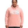 'The North Face' Women's Half Dome Pullover Hoodie - Rose Dawn (ext. Sizes)