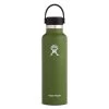 'Hydro Flask' 21 Oz. Standard Mouth W/Flex Cap - Olive Gear 1 'Hydro Flask' 21 Oz. Standard Mouth W/Flex Cap - Olive Gear