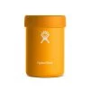 'Hydro Flask' 12 Oz. Cooler Cup - Starfish